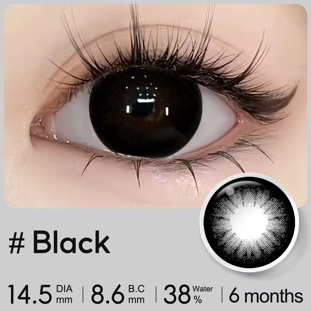 Magister black